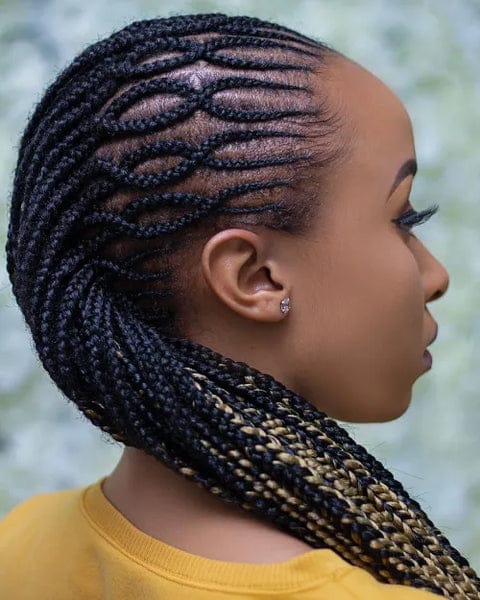 Tresses africaines artistiques mises en valeur