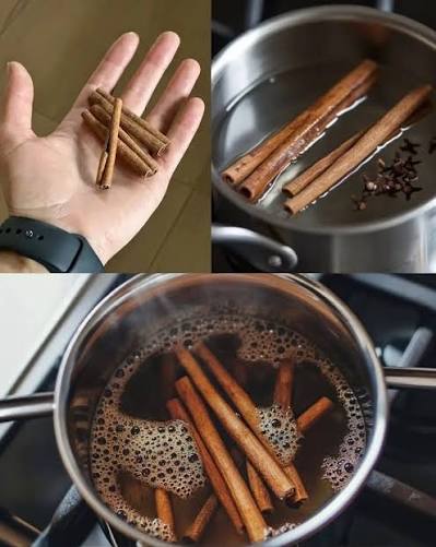 Clous de girofle et cannelle